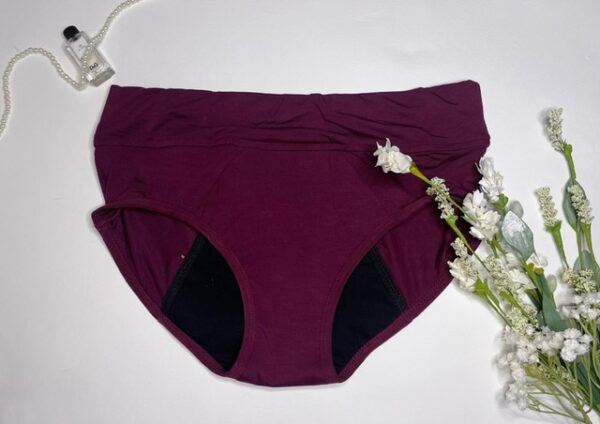 AmeyaCare EcoFlow: Reusable Women’s Menstrual Underwear for Sustainable & Stylish Period Protection - Image 2